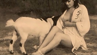 Classic Taboo: Pussy And Pooch In A Vintage Setting